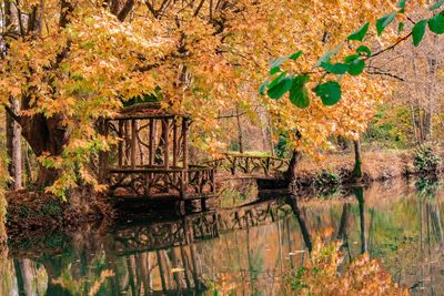 Reflection of trees in lake during autumn