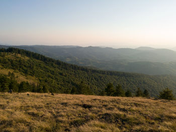 Scenic view of landscape against clear sky