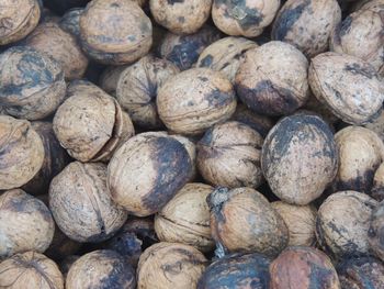 Full frame shot of onions for sale at market