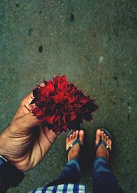 Low section of man holding flower over road