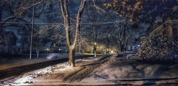 Snow covered road by trees in city at night