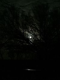 Silhouette trees in forest against sky