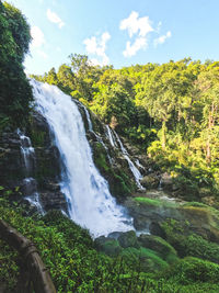 Scenic view of waterfall in forest