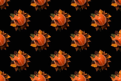 Seamless pattern on a black background. autumn theme. orange pumpkin fruits lie on autumn leaves. 