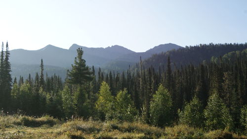 Scenic view of mountains against clear sky