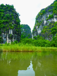 Reflection of trees in lake