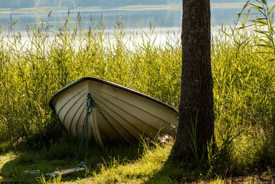 Low angle view of tent on field