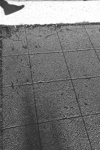 High angle view of footpath