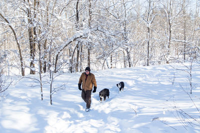 Rear view of dog on snow covered landscape