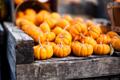 Pumpkins on market stall for sale