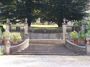 Steps leading towards park