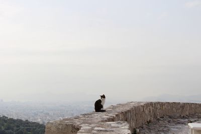 View of bird perching on rock against sky