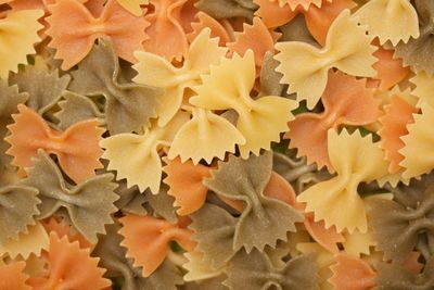 Close-up of orange leaves