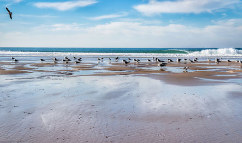 Scenic view of beach against sky