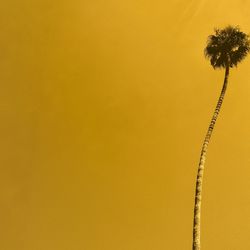 Close-up of yellow abstract background