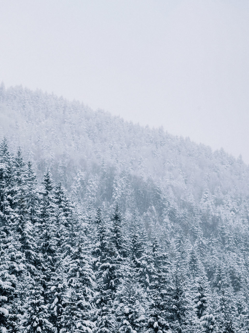 SCENIC VIEW OF SNOW COVERED LAND DURING WINTER