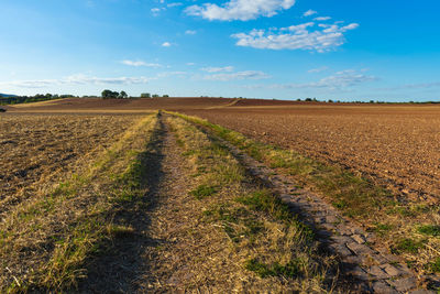 Scenic view of agricultural field against sky