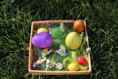High angle view of multi colored eggs on grass