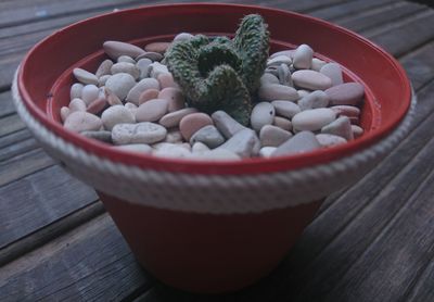 High angle view of eggs in bowl on table