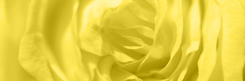 Full frame shot of yellow fabric