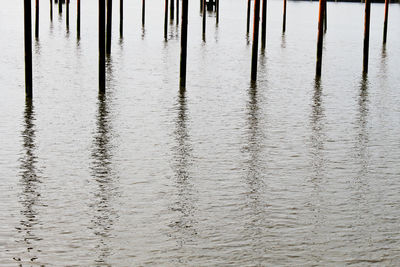 Poles in sea