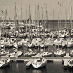 Boats in harbor