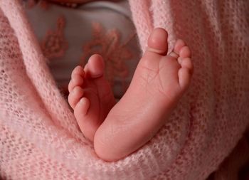 Low section of baby in hammock