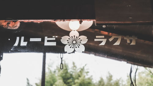 Low angle view of illuminated lighting equipment hanging on wood