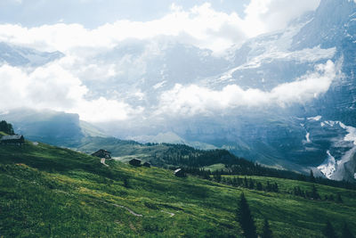 Scenic view of landscape against sky