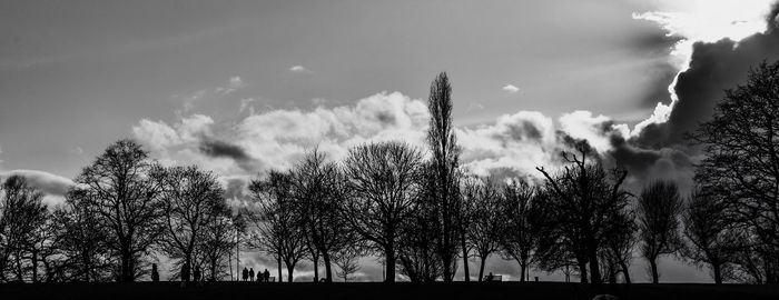 Low angle view of trees against sky