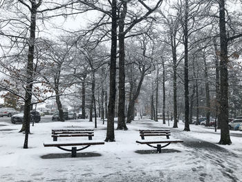 Empty bench in park during winter