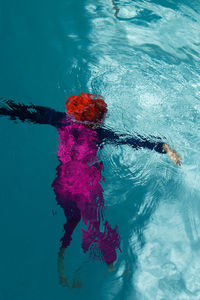 High angle view of red swimming in pool