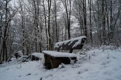 Snow covered field by trees in forest