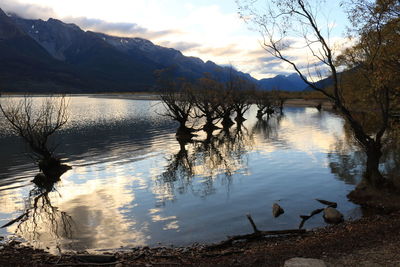 Silhouette bare trees in lake against mountains