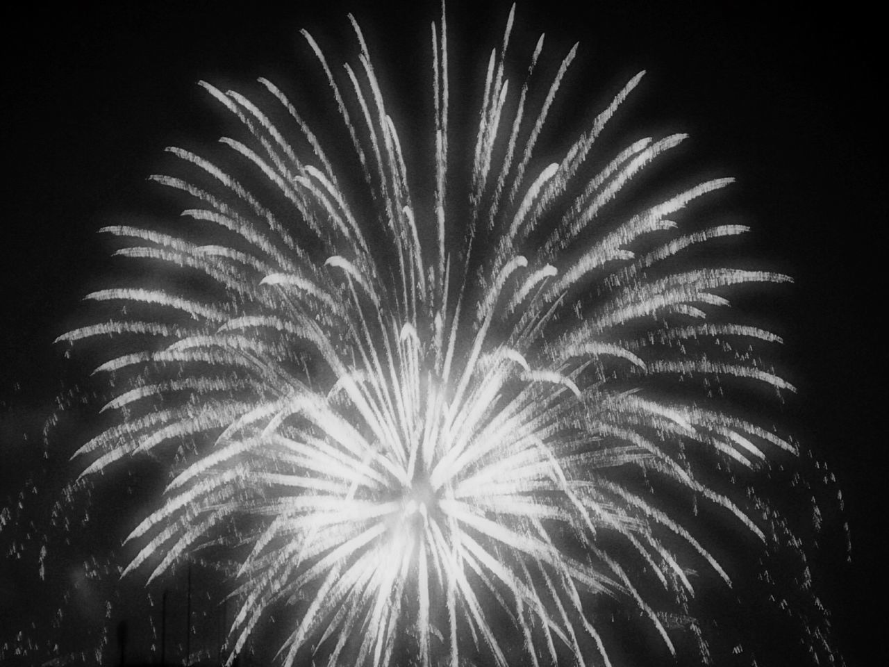 night, close-up, low angle view, long exposure, firework display, exploding, glowing, no people, beauty in nature, outdoors, dandelion, black background, nature, motion, illuminated, celebration, sky, growth, dark, studio shot