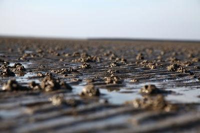 Surface level of sea shore against clear sky