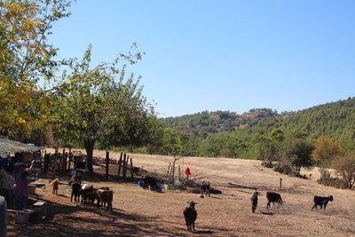 People on landscape against clear sky