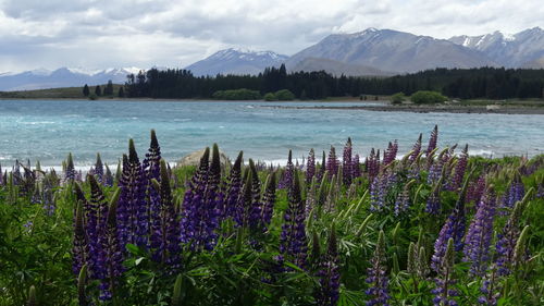 Scenic view of lake by mountains against sky