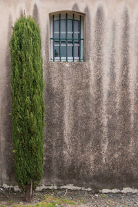 Close-up of house window