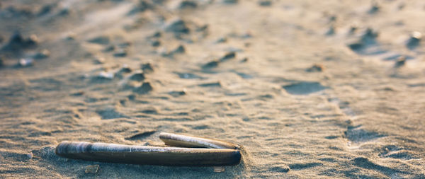 Close-up of cigarette on beach