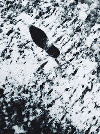 High angle view of snow