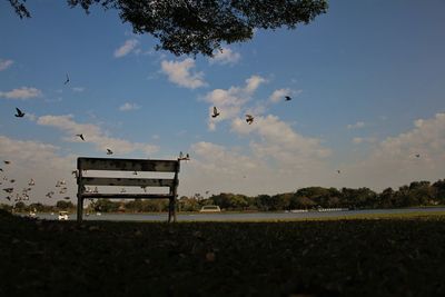 Birds in park against sky