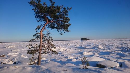 Scenic view of snow covered land against clear blue sky