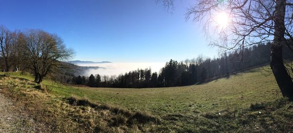 Scenic view of landscape against clear sky