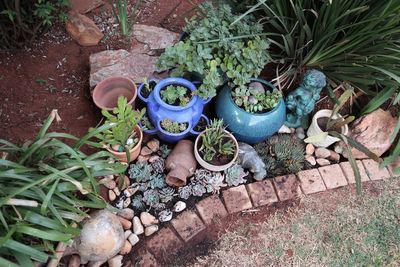 High angle view of potted plants in yard