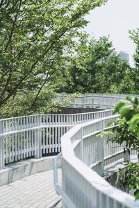 Bridge over trees by plants