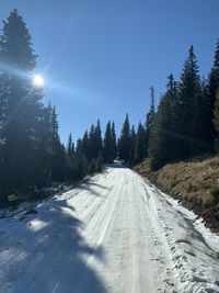 Road amidst trees against sky during winter