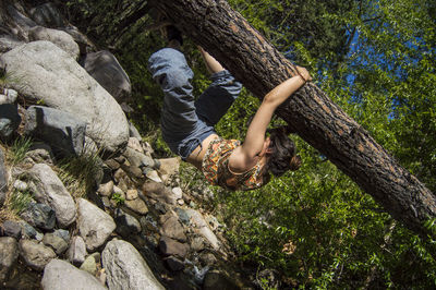 Woman hanging on tree trunk in forest