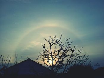 Low angle view of bare trees against sky