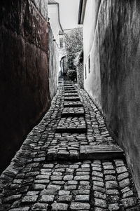 Walkway amidst buildings